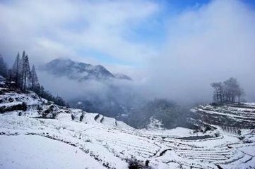 山居遇雪喜道者相访
