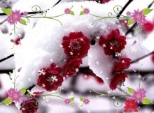 【双调】水仙子_维扬遇雪芦