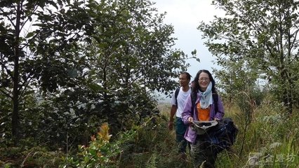 赋赤松金宣义十月牡丹