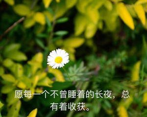 雨中罢直