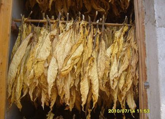 道州观野火
