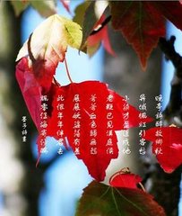 秋怀吟