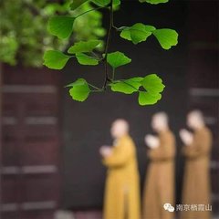 和崔司马登称心山寺