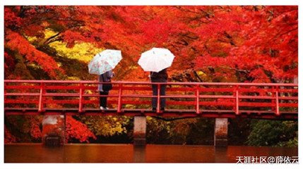 观藏珠