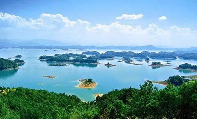 揽照
