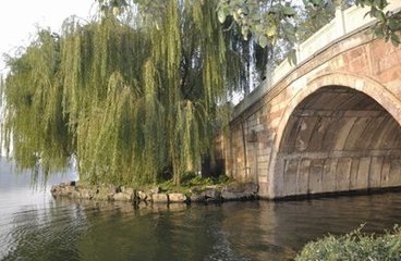 霜天晓角·晚次东阿
