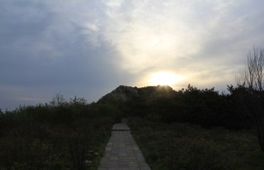 别约之舅