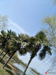 晴望汉川