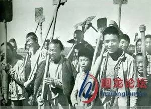 兴龙节致语口号