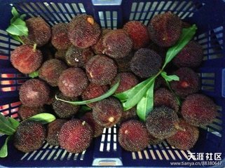 定风波（应制听琵琶作）