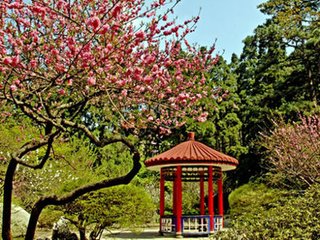 昔苏先生游庐山诗云平日怀真赏神游杳霭间如