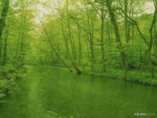 卜算子·租风瓜步