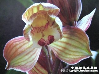 邛州俯听三省堂
