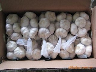 寄金乡张赞善