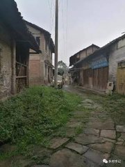 和李令放税