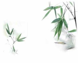 岁暮杂忆