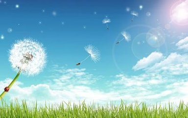 到江西省看花次韵（四首）