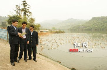 送临武雷令