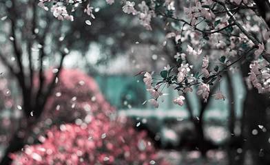 次韵秦觏