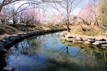 武陵春（和王叔度桃花）