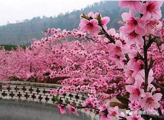 菩萨蛮·髻钗初上朝云卷