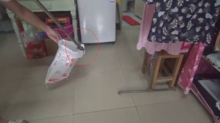 蓦山溪·蓬蓬窣窣