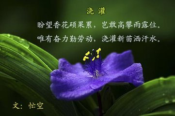 赠丘老师