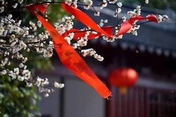 思山居一十首。忆种苽时
