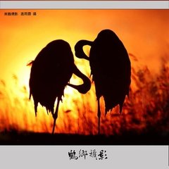 鹤跹跹