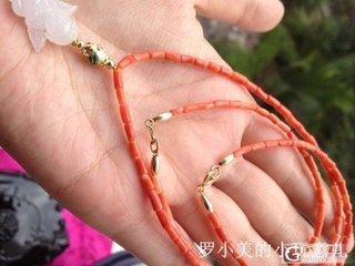 岁晚寄罗舜举