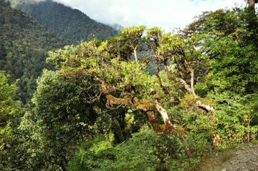 归途再得八句并寄