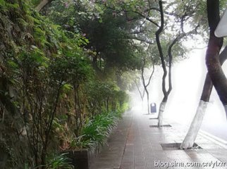 题曹兄耕绿轩