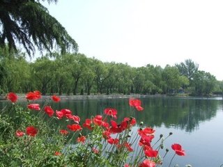 老还