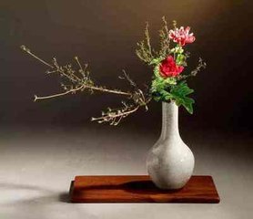 叶侍郎送红芍药
