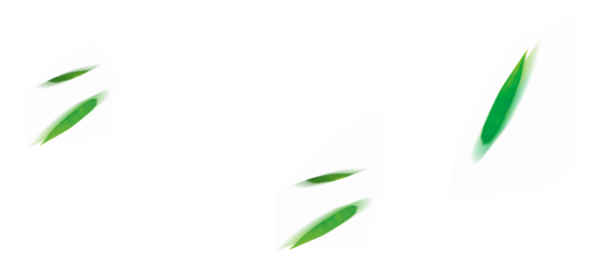 齐天乐（端午）