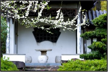 永遇乐·曲径通幽