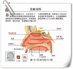 忽见缪仲淳二首
