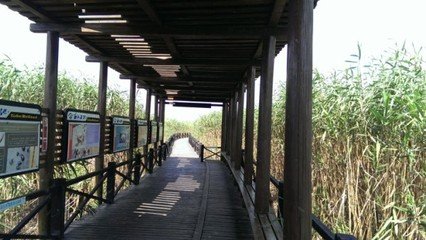 下第送张霞归觐江南