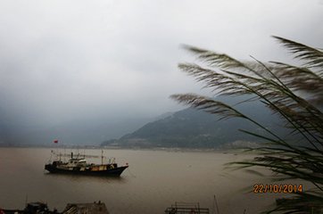 南乡子（赋十四弦）