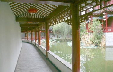 垂柳长吟