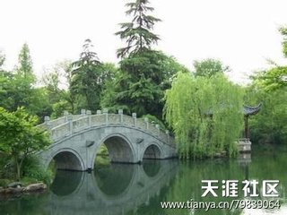 望海潮 丁巳清明日，登定海县招宝山望海