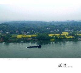 武陵春·长记酒醒人散後