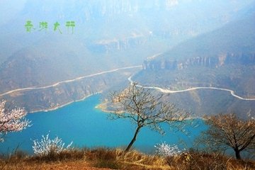 柳梢青·寿烟笼席