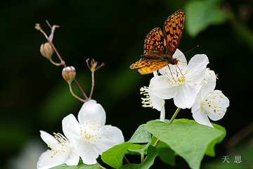 蝶恋花·莫笑一瓢门户隘