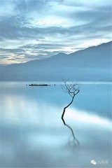 画树后呈濬师