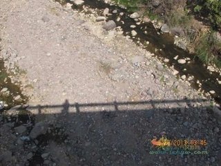抚栏