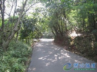 江城子·去年九日在衡阳