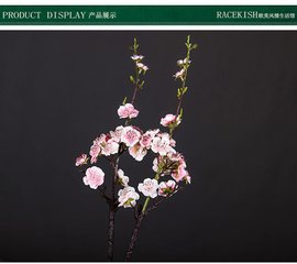 春日退直呈禁署诸公