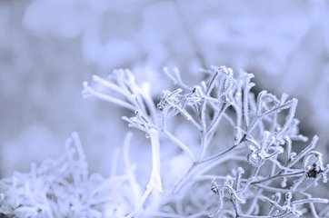 水调歌头 九月望日，与客习射西园，余病不