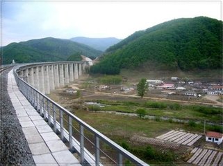 清平乐·青松偃蹇